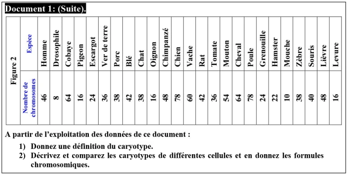 Transfert de l’information génétique au cours de la reproduction sexuée